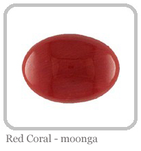 coral-moonga1